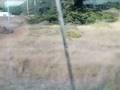 The Marin Headlands