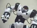 Cats beat ROBOSAPIEN.