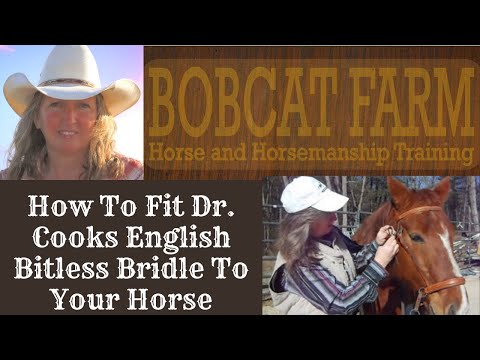 how to fit lg bridle