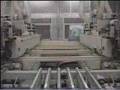 Celaschi Automatic In-Line Tenoner for Window Components