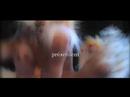 parodie de comptines par vincent malone (le roi des papas) mis en sc�ne parles petits doigts de filip saumont