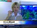 Kids Use Terrapins To Learn About Environment