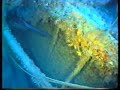 Immersione relitto di Cecina 68mt. (1� clip) Beppe