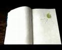 paddelnohnekanu - tagebuch