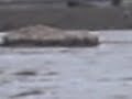 alluvione mediocampidano(furtei-segariu)