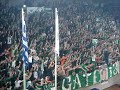 Panathinaikos, telikos volley patra, tragoudia 15 Panathinaikos, telikos volley patra, tragoudia 15