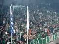 Panathinaikos, telikos volley patra, tragoudia 15