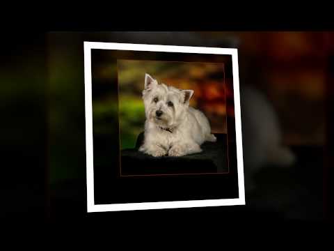 how to decide when to take cpp