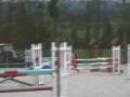 videos de Ellie & Owen C1P.wmv