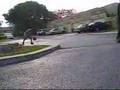 gnargnar with illago crew
