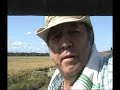 Fertilizantes Biologicos en Arroz