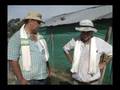 Fertilizantes Biologicos en Arroz