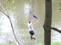 Home Made Zipline