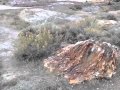 video3.mov: 2012-10-16 Petrified Forest & Buffalo ...