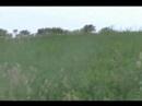 Der Junge (part 1 of 2)