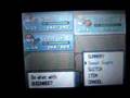 How to Catch & Evolve Combee to Vespiquen p1