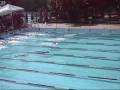 videos de 50 m peito.wmv