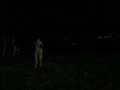 videos de fireworks defender