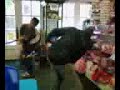 Crazy Toy Store Claw Fight???
