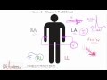 ECG Interpretation, Basics Of ECG Leads, Part 5-1
