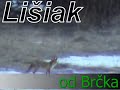 Li?iak