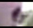 Tase Me, Bro (Don't Tase Me) remix