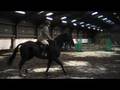 videos de Aaron and charlie 60cm