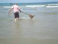 Crazy dog!!!!