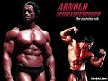 ARNOLD-SCHWARZENEGGE