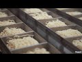 https://www.youtube.com/watch?v=EGzNb2PMc5A