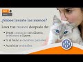 Lava tus manos despu�s de 2