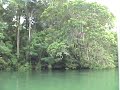 Lake Gatun,Gamboa: Haven for Nature and Wildlife Lovers- LovePanamaRealEstate.com Lake Gatun,Gamboa: Haven for Nature and Wildlife Lovers- LovePanamaRealEstate.com