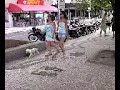 Doguinha ( COCOTINHAS de Bal. Camboriu/SC)