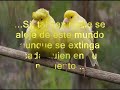 Arvo Part: \"In Memorian...\" Tributo a Eugenio Montejo Arvo Part: \"In Memorian...\" Tributo a Eugenio Montejo