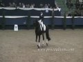 horses...........