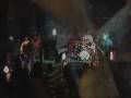 videos de The Large Flowerheads - Video #1