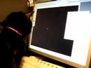 Srecica & computer