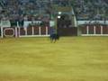 videos de TOROS EN ANTEQUERA.