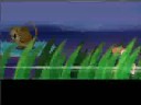 Absol's training