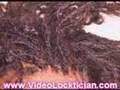 600 LOCKS on 1 Head