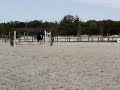 Margot et docile en clp3 n°3