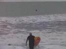 Surfing in Cocoa Beach Surfing in Cocoa Beach