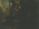 lezbian-brawl.html