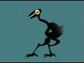 Birdland Birdwalk