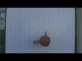 Pumpkin Pendulum Lab