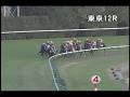 videos de [パトロールビデオ] 081122 5東京5 12R