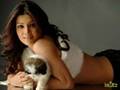 Bollywood Bengali Beauties Mixx- You're My Love