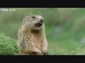 Steve Allan video 3
