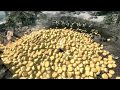 Skyrim Cheese Explosion
