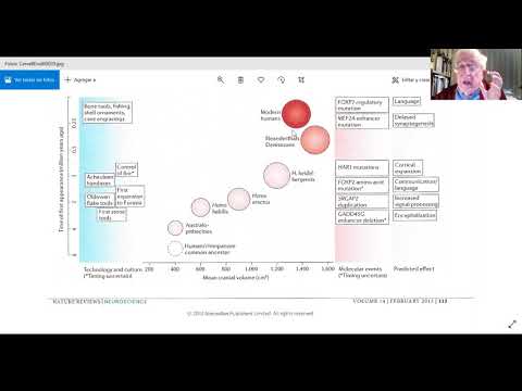 El cervell: biologia, ment i transcendència, amb Ramon M. Nogués